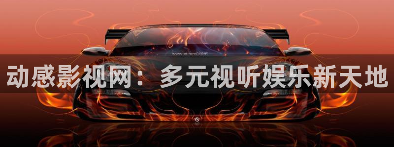动感影视网：多元视听娱乐新天地