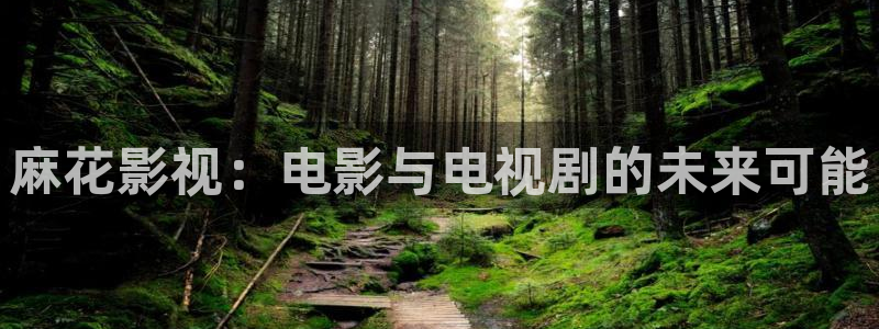 麻花影视：电影与电视剧的未来可能