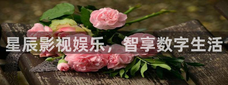 星辰影视娱乐，智享数字生活