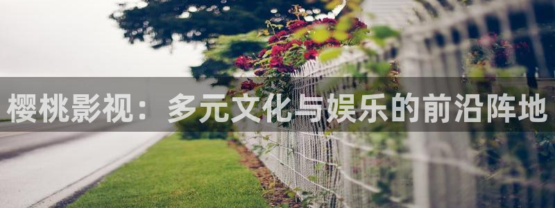 樱桃影视：多元文化与娱乐的前沿阵地
