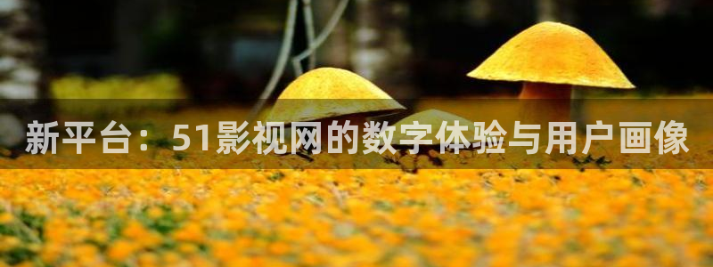 新平台：51影视网的数字体验与用户画像