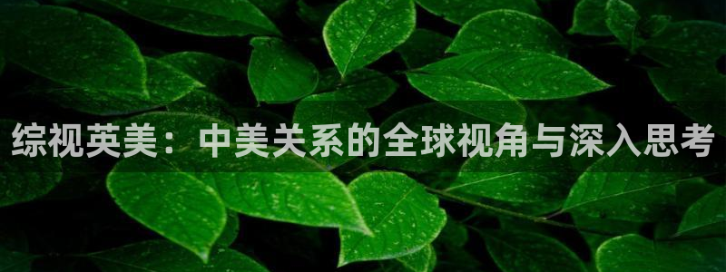 综视英美：中美关系的全球视角与深入思考