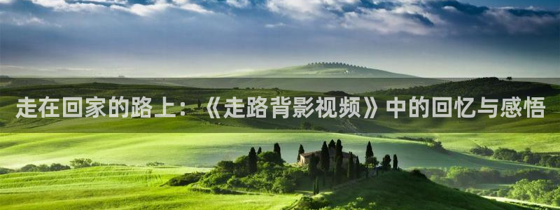 走在回家的路上：《走路背影视频》中的回忆与感悟