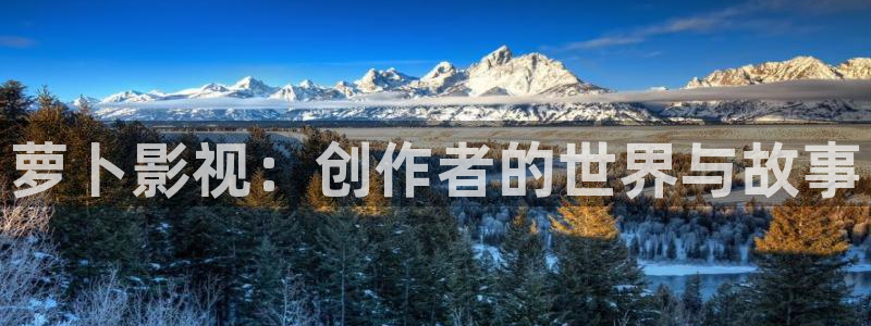 萝卜影视：创作者的世界与故事