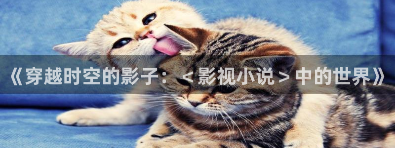 《穿越时空的影子：＜影视小说＞中的世界》
